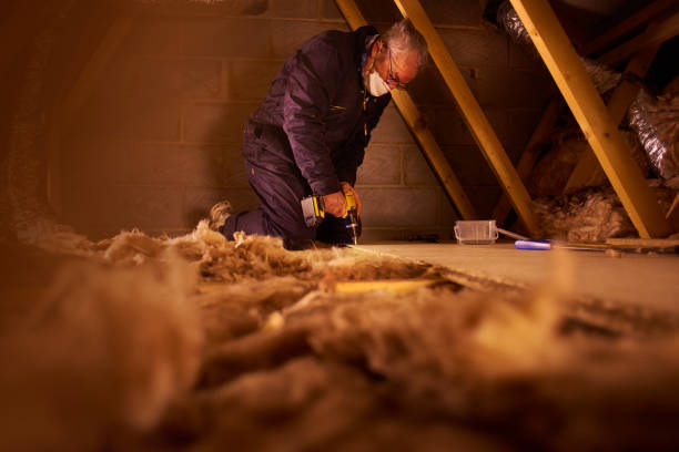 Best Insulation for New Construction  in Kingsbury, NV